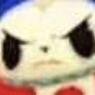 双开门女子