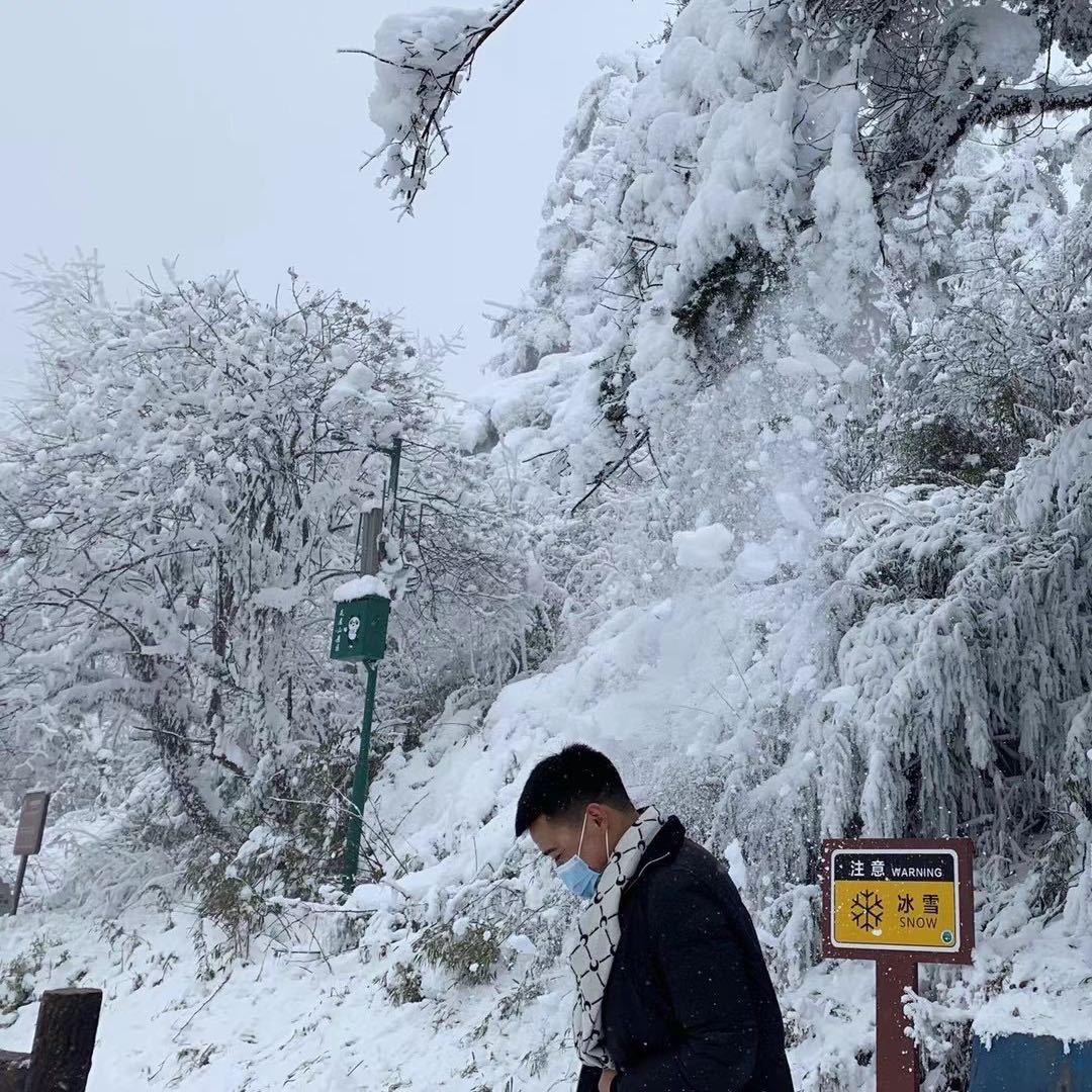 贝尔格里尔斯