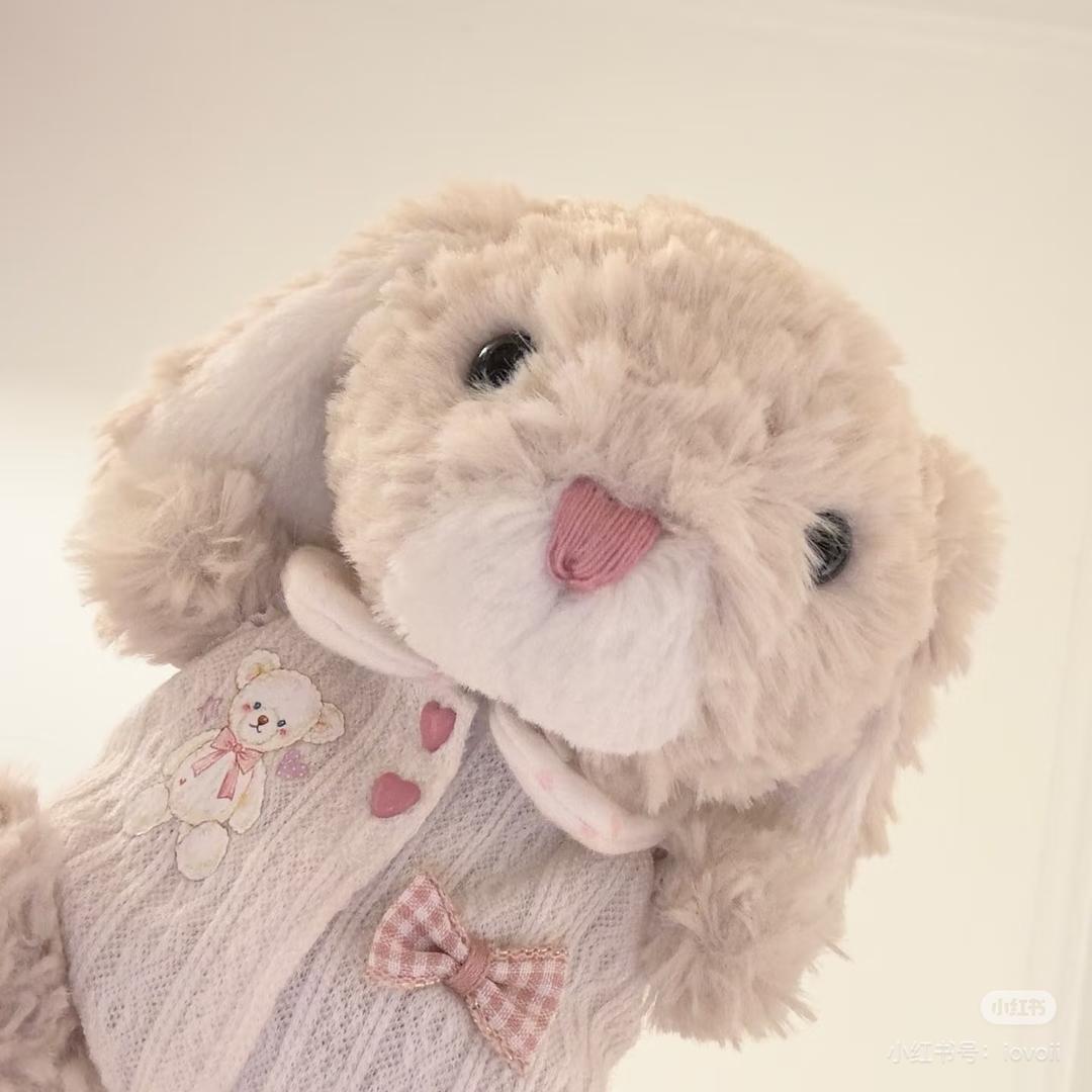 菜菜来啦