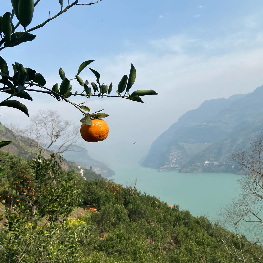 ™花花、世界℡