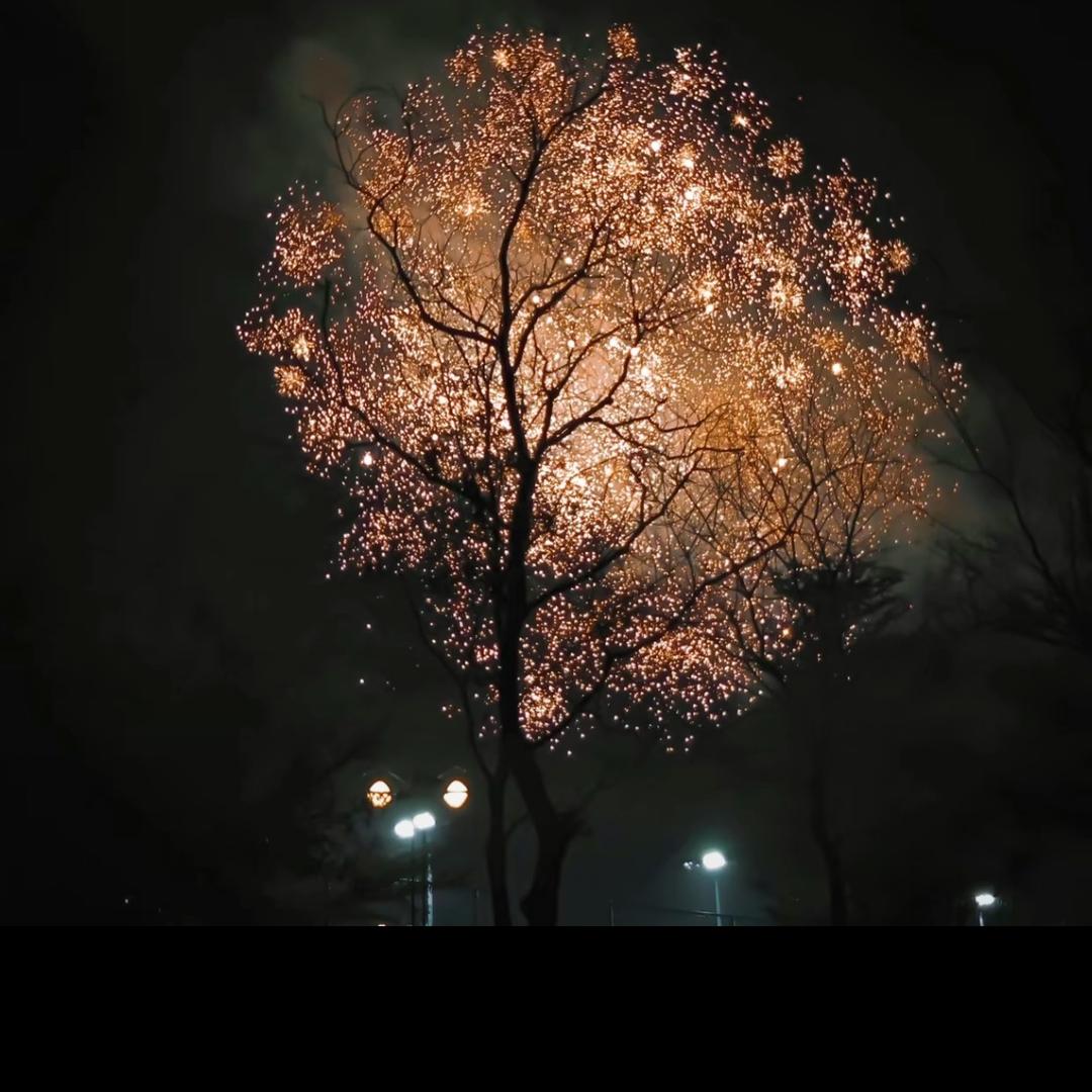 杜杜直播切片