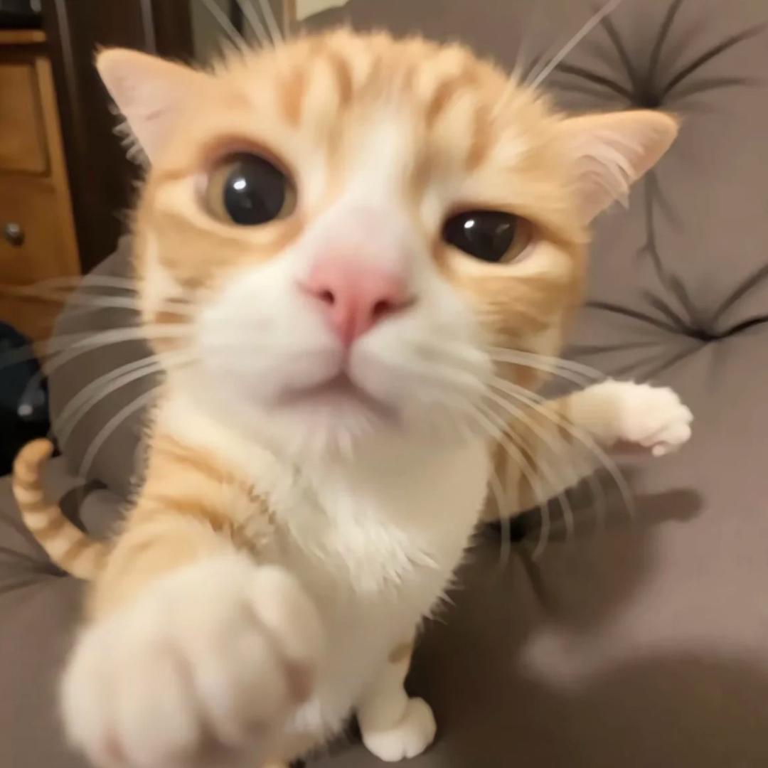 披萨心肠·