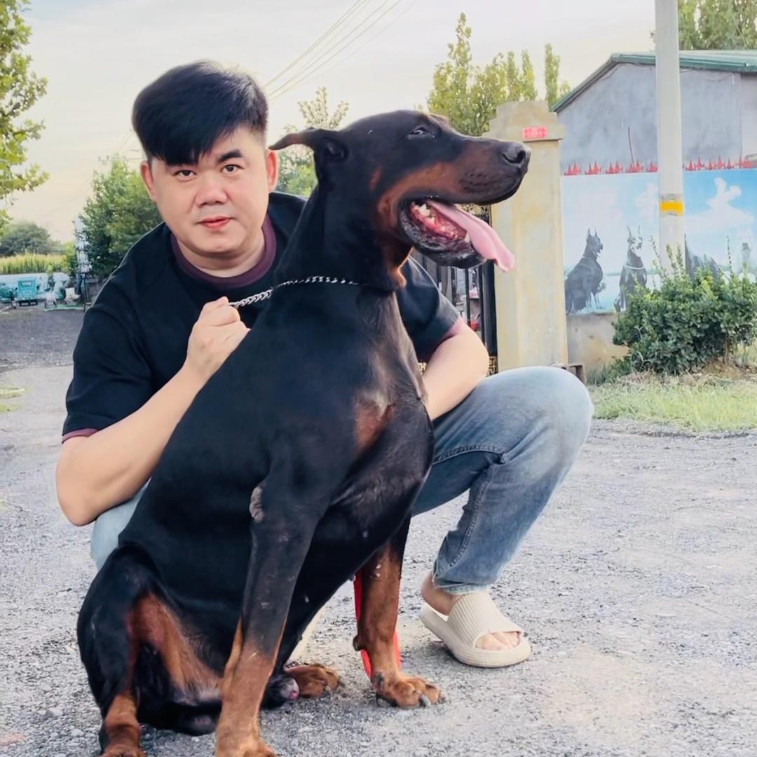 瑞祥犬舍