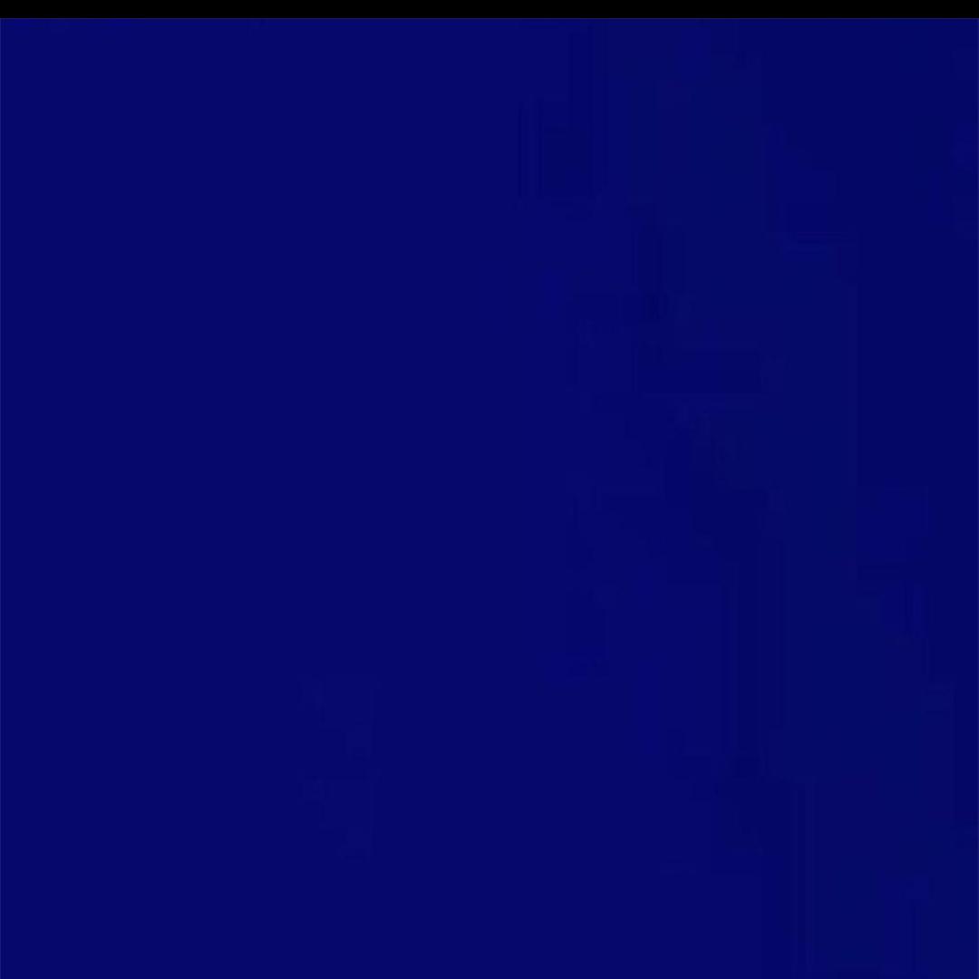 ㅤㅤㅤㅤㅤㅤLeo