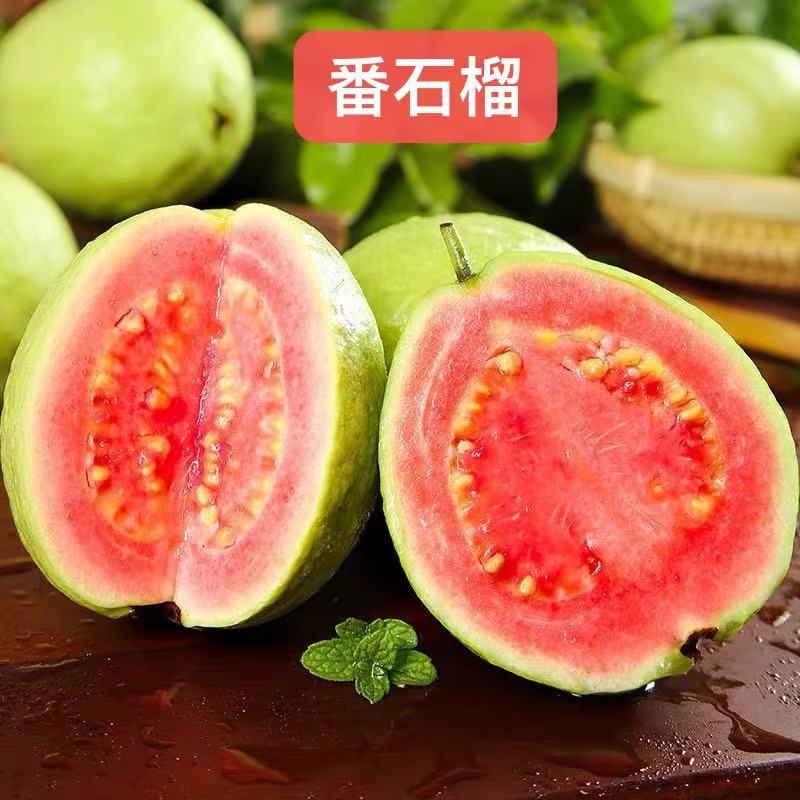 燕普农林优品