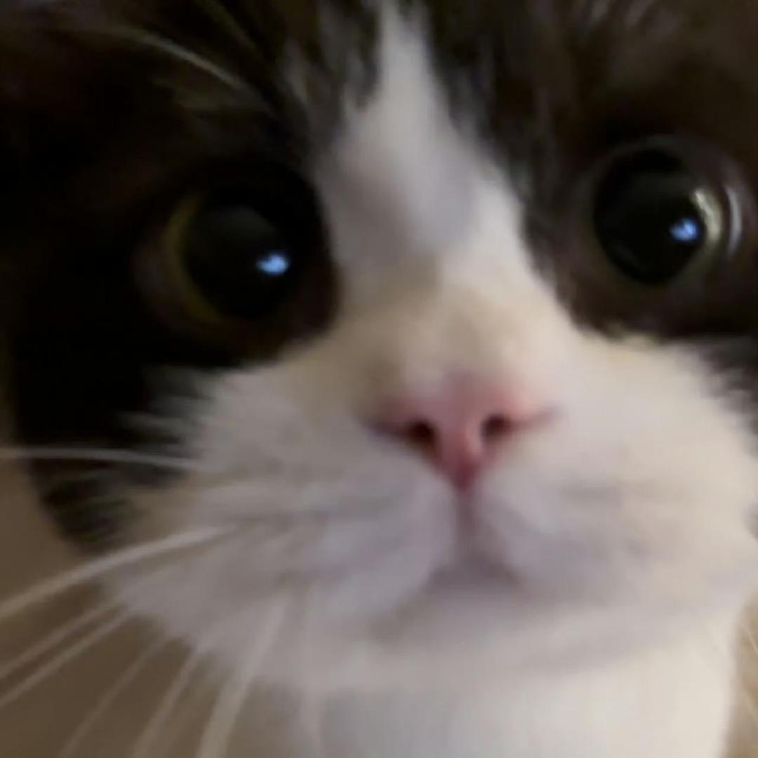 O.0