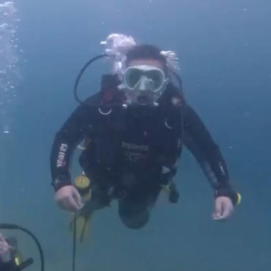 🌈霸王小崽🐯