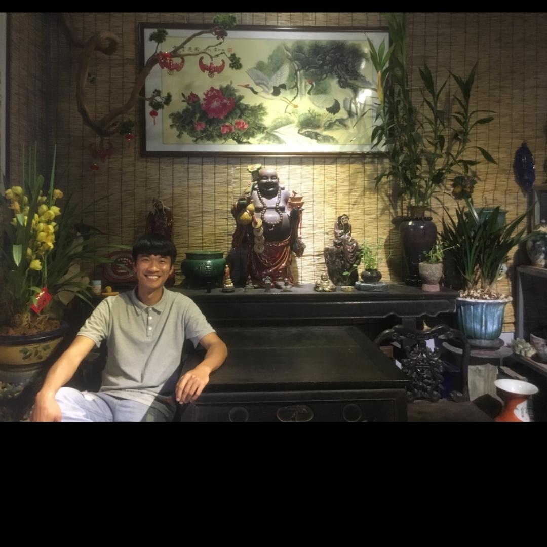 楼顶上的小盆景