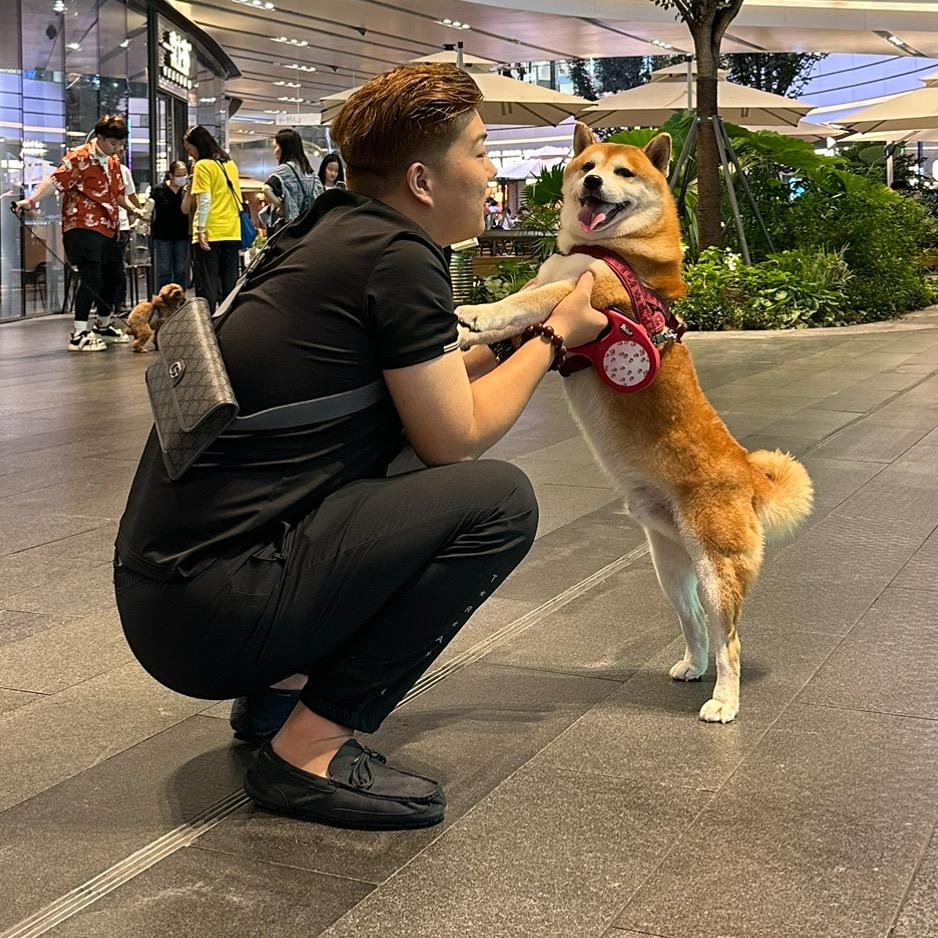 快乐的小🐎儿