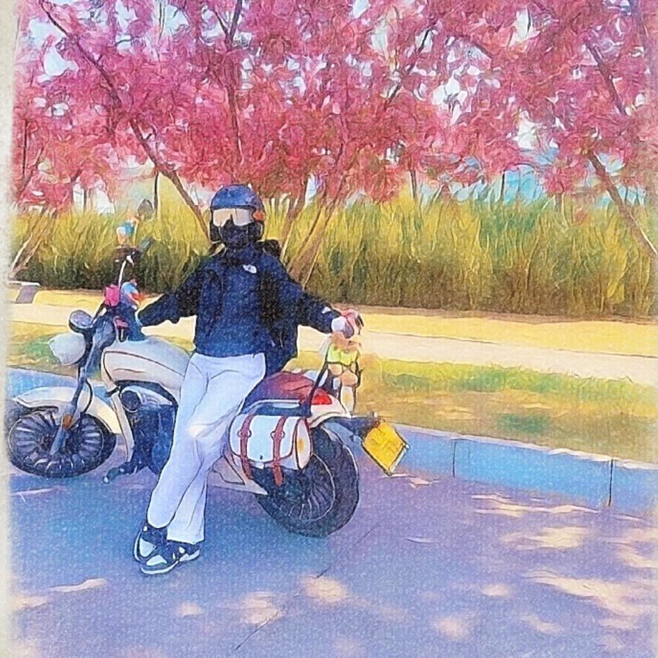 Yoyo~