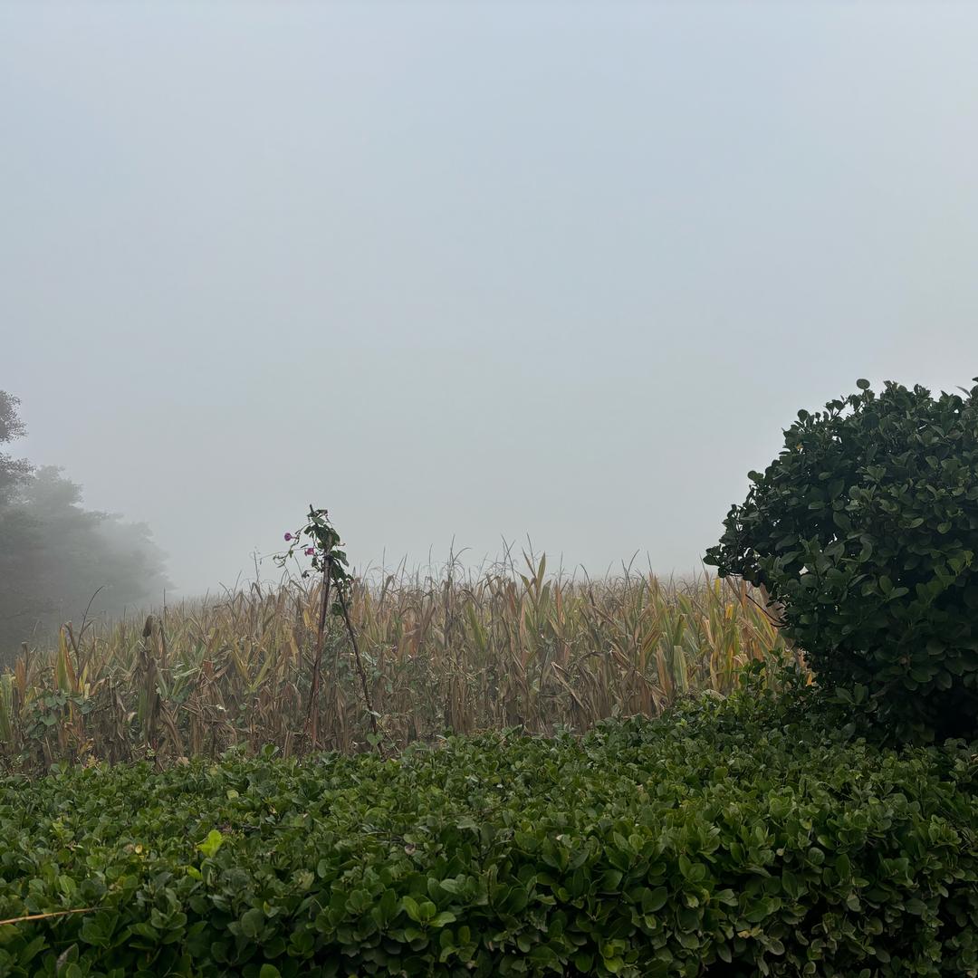 小小小