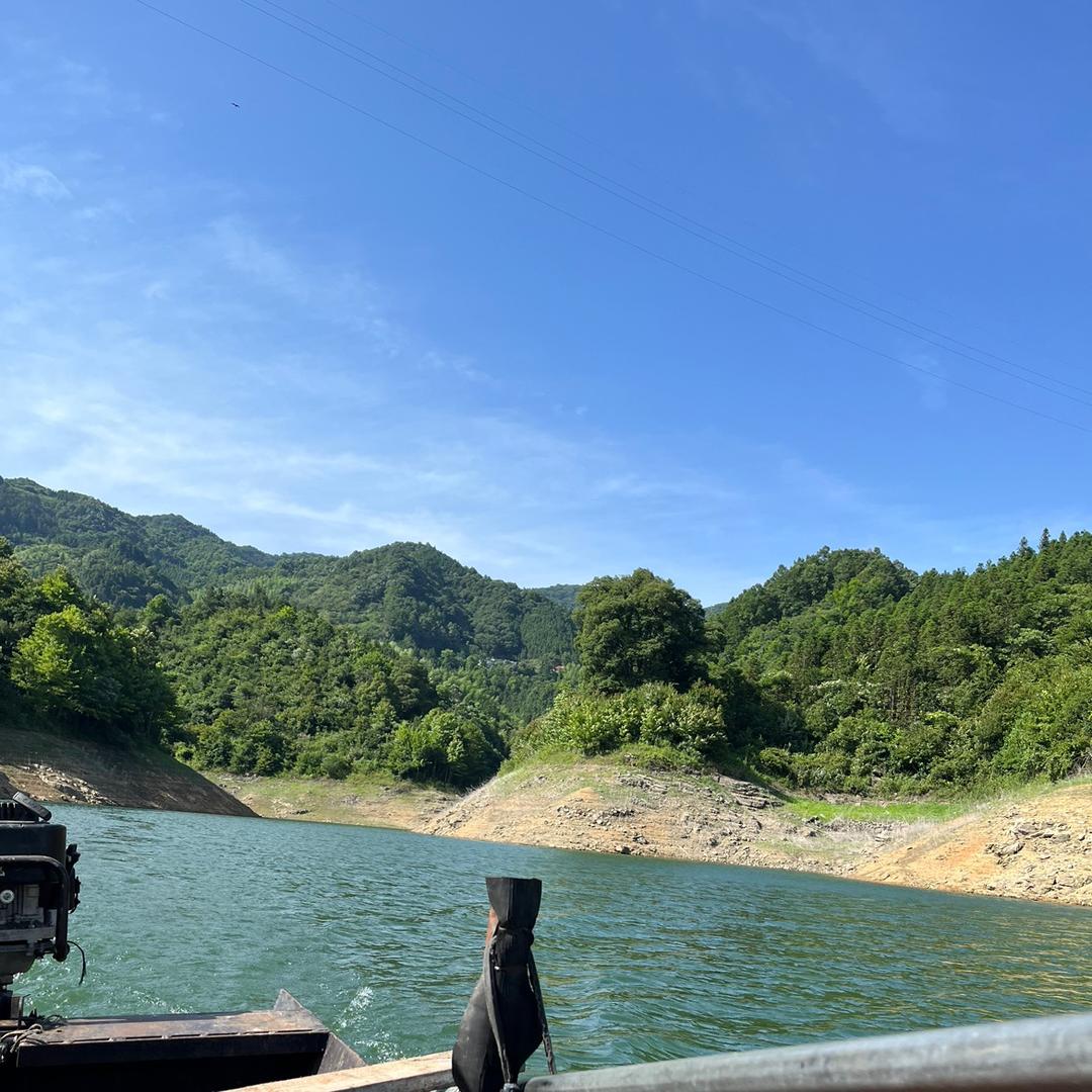 探索Lure