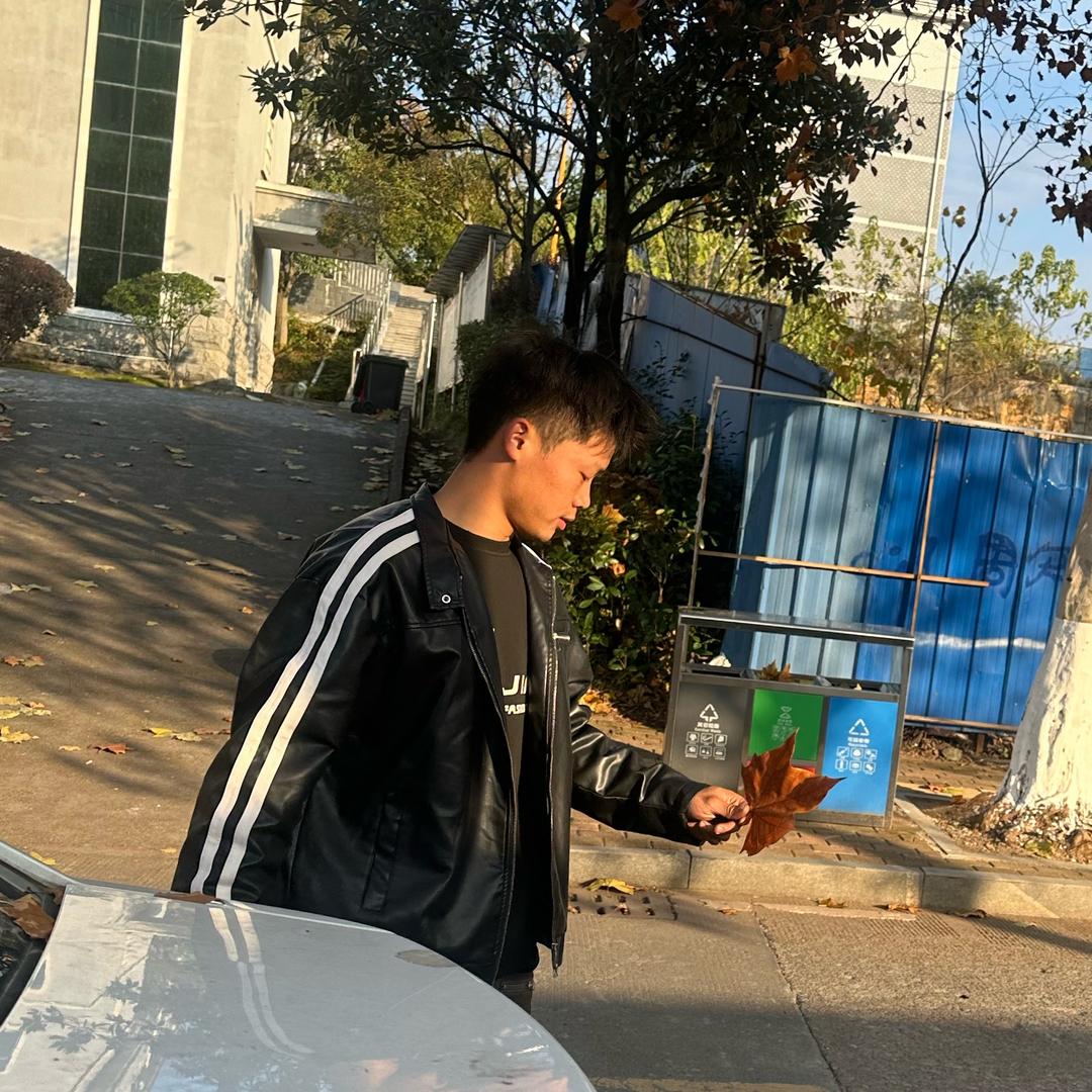 怀化中方-开心汽车诊断（博雄）