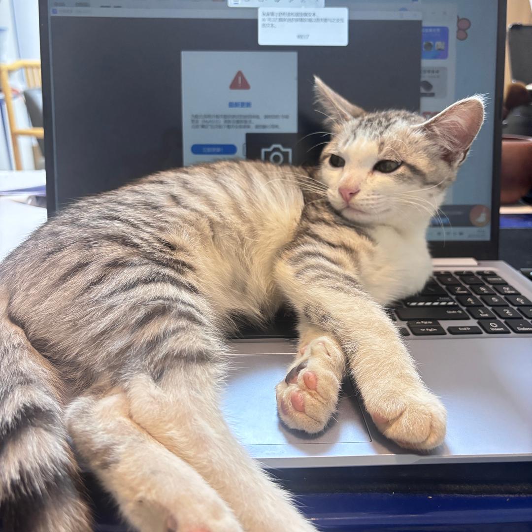 版纳房产中介资源库