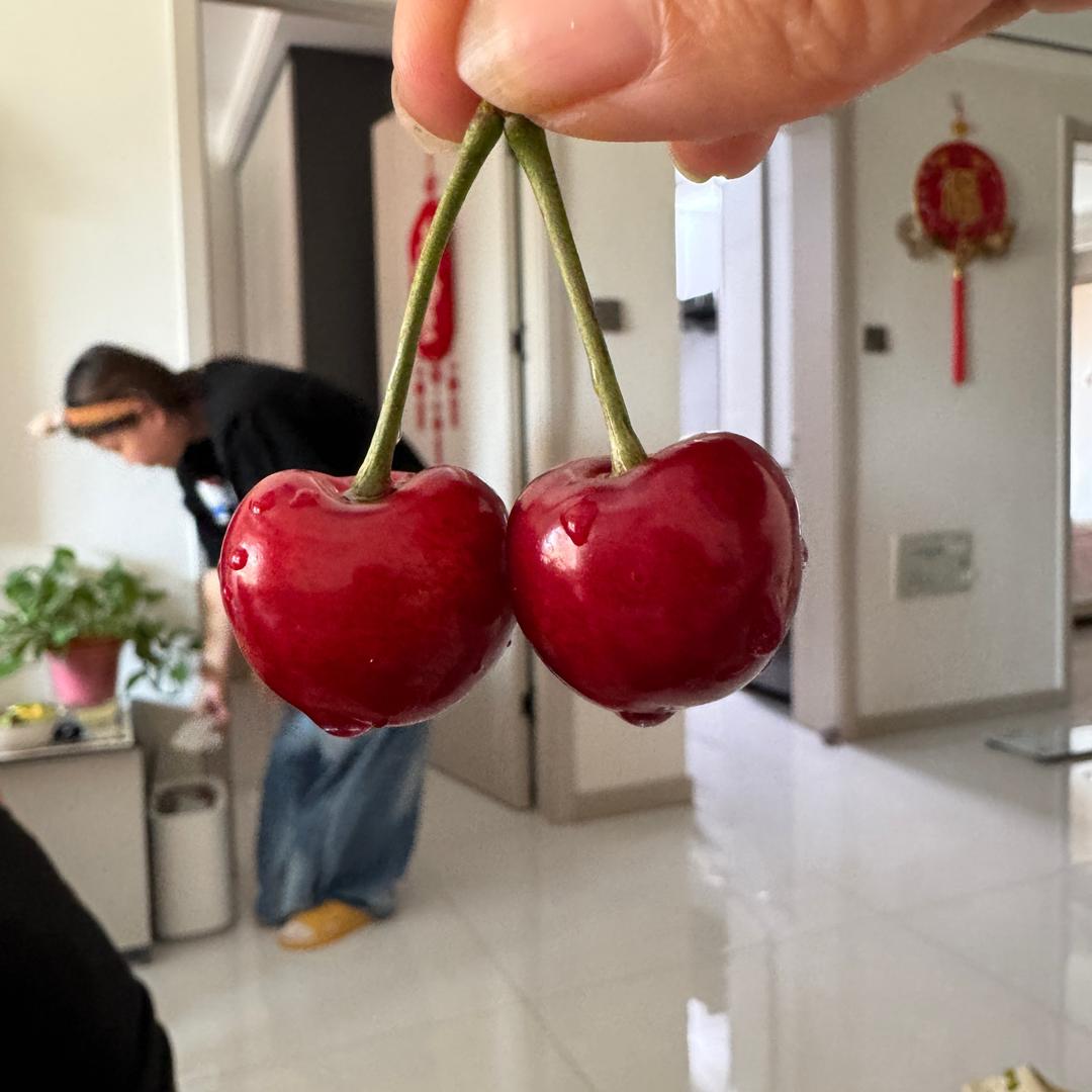 郑君……的快乐生活🎶