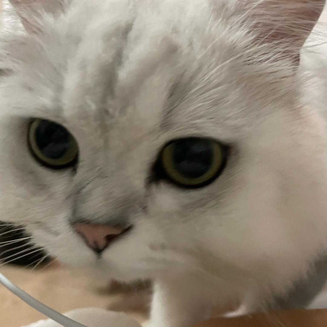 我想当爹