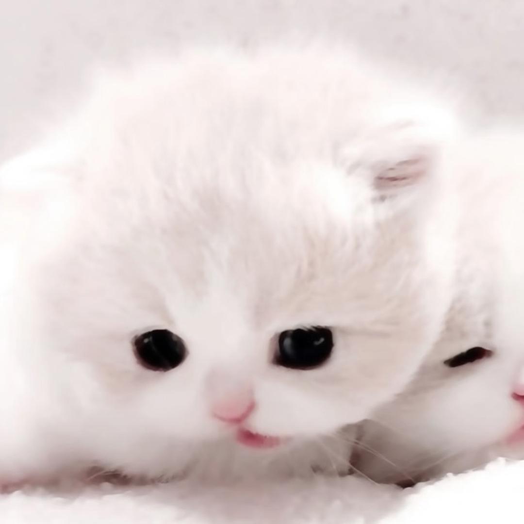 3i