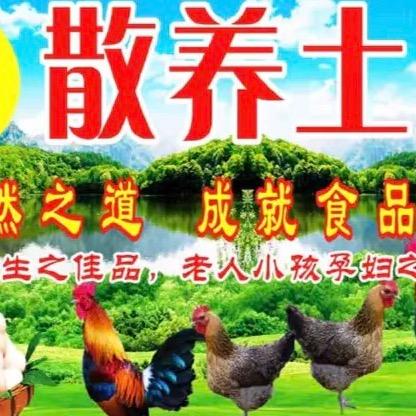 天长鸡蛋妹～王妃