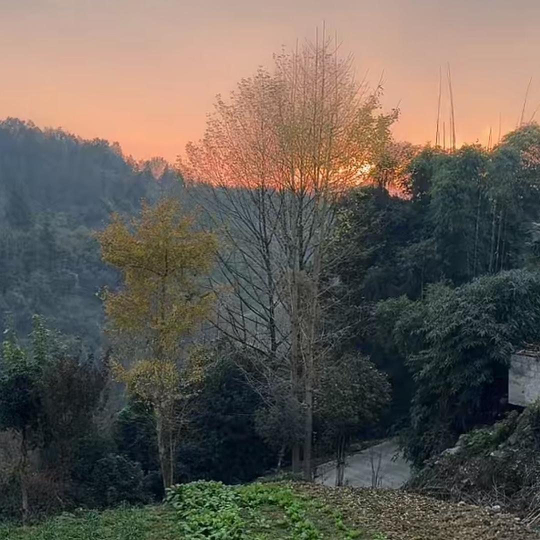 🌹倔强的小萝卜🚗