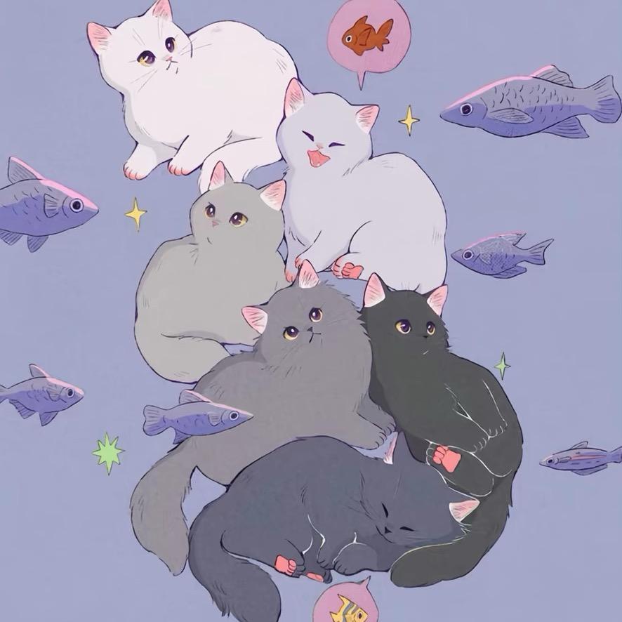 椰壳