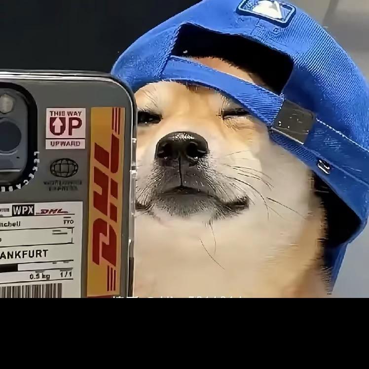 真的爱你