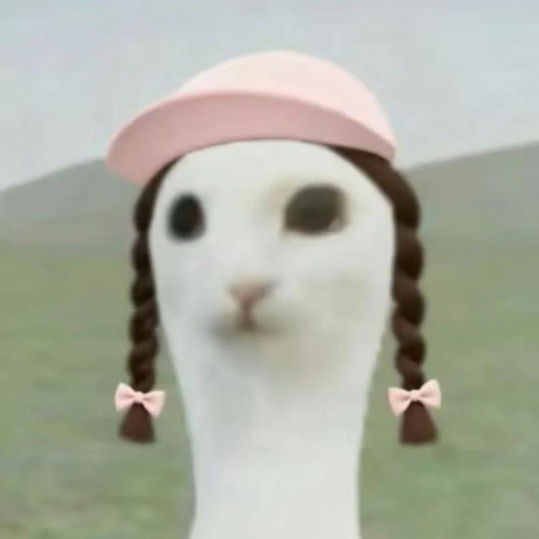 不落雪的东京