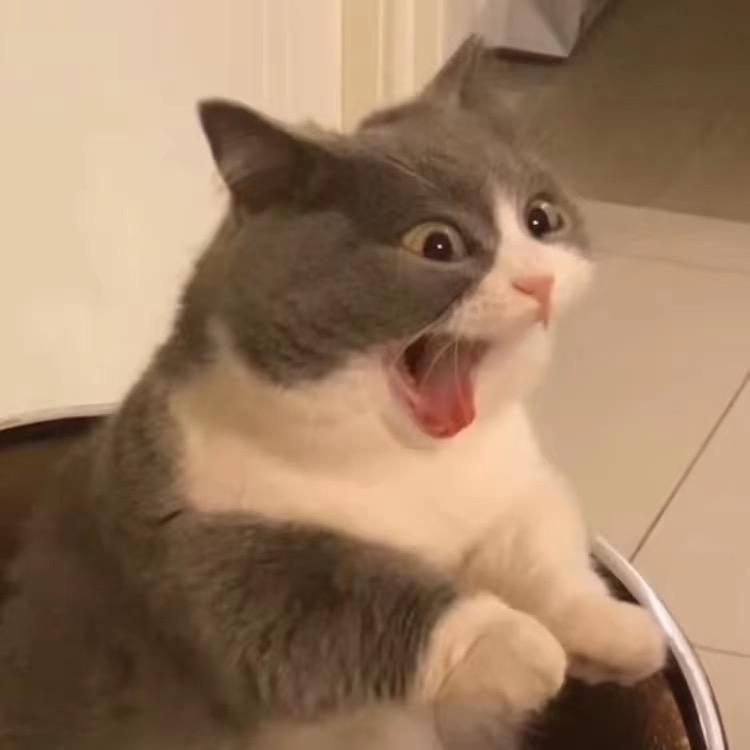 可可物理高老师