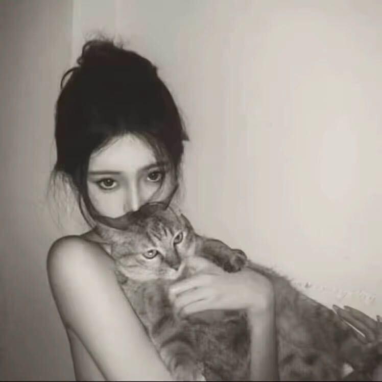 小毛草