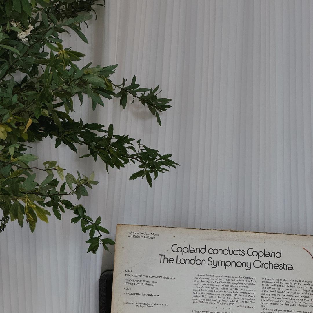 野渡·freedom兰州花店