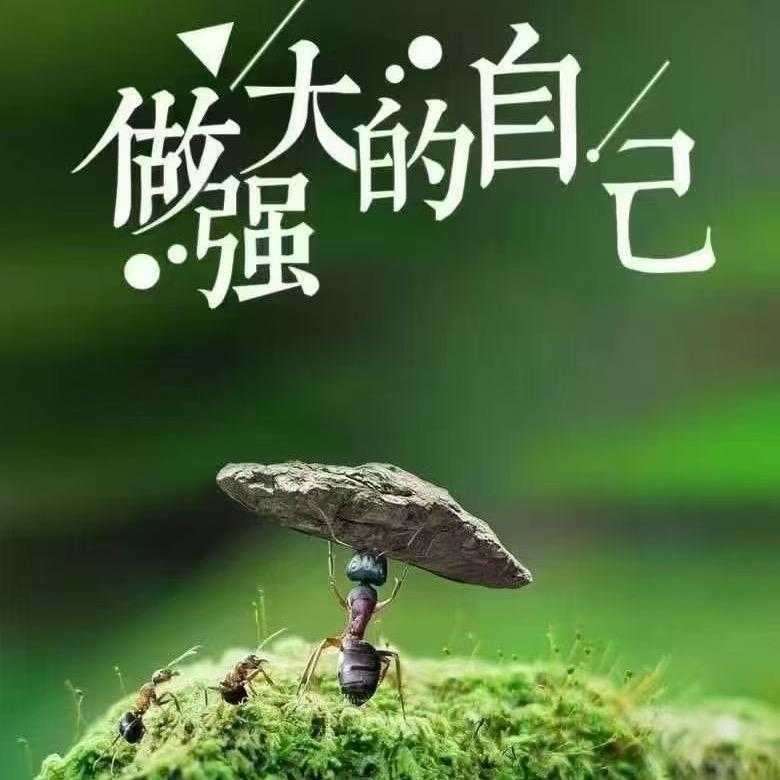 杭州金娘子家政服务有限公司