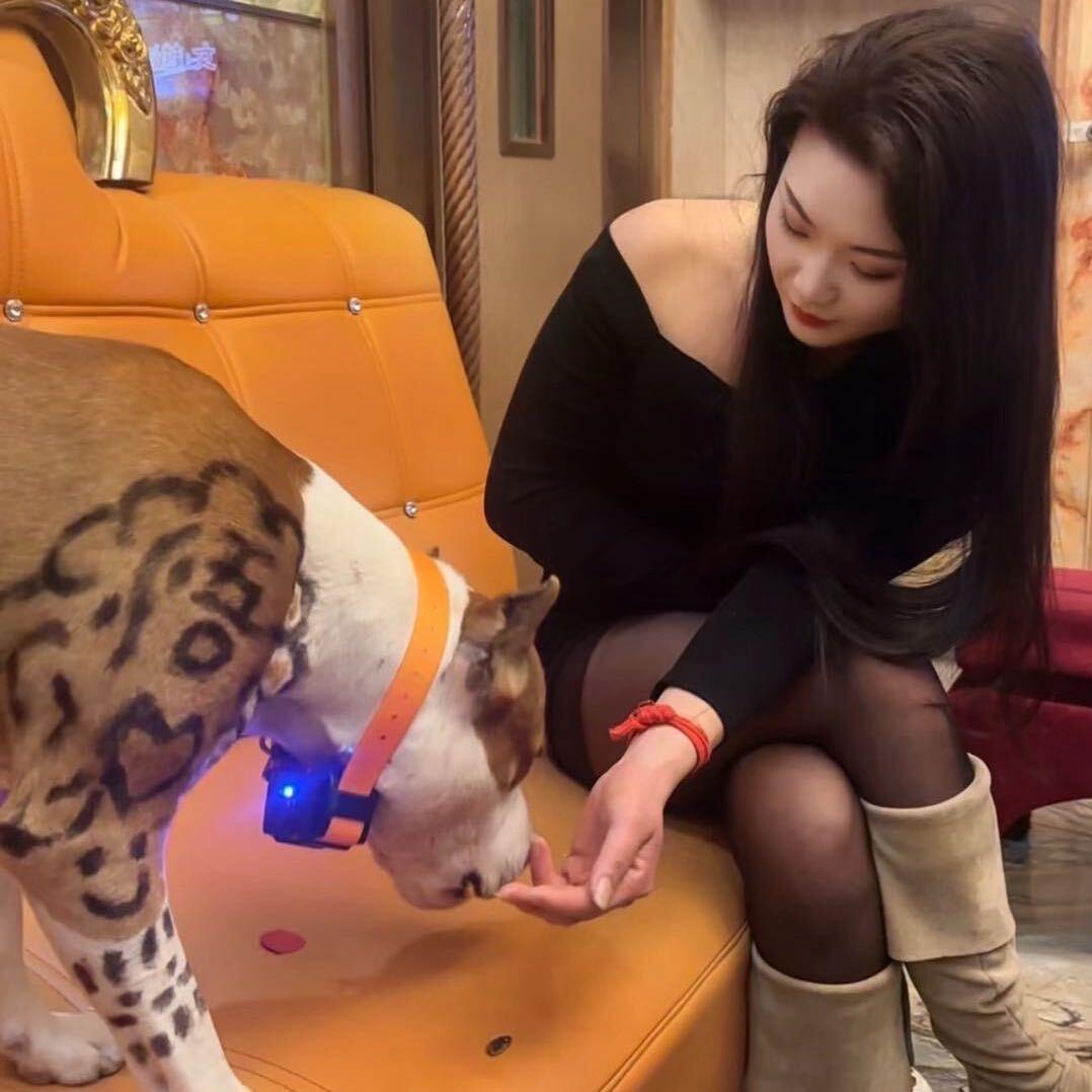 金禧.LIU女装店