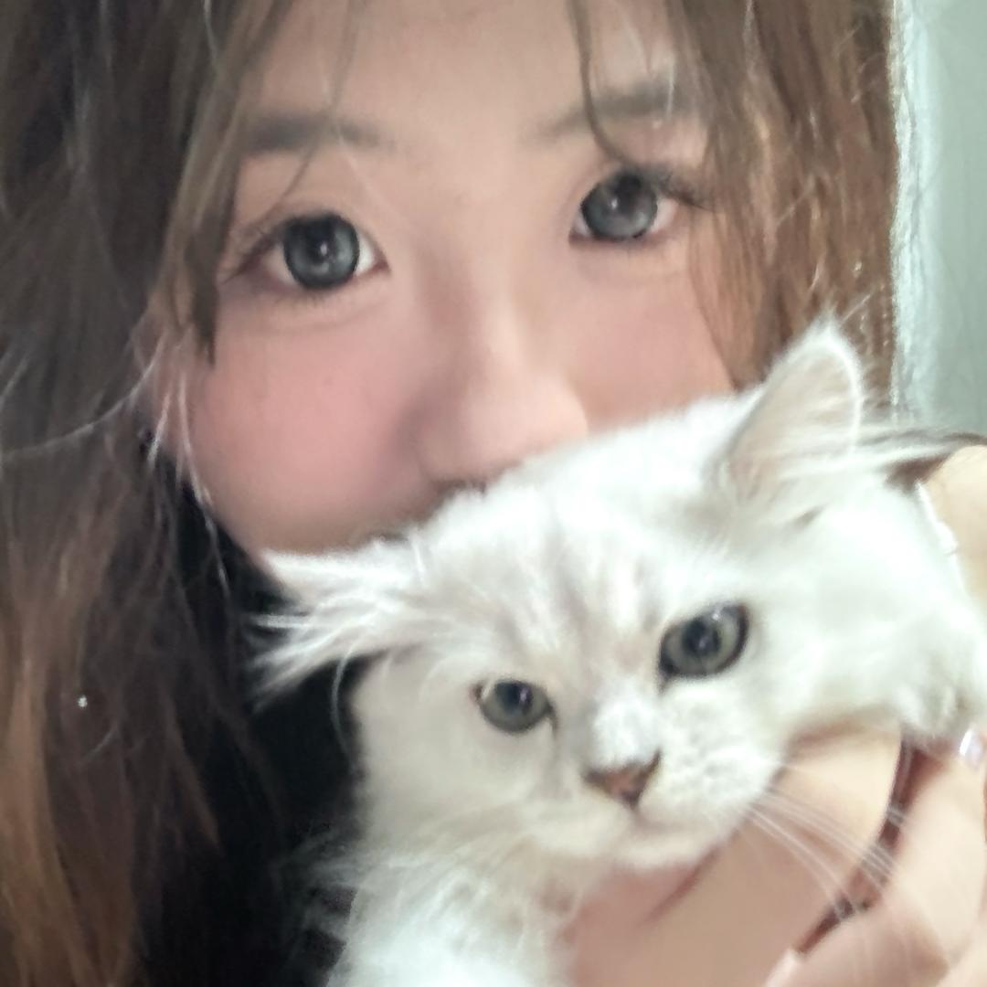 盐泽酱
