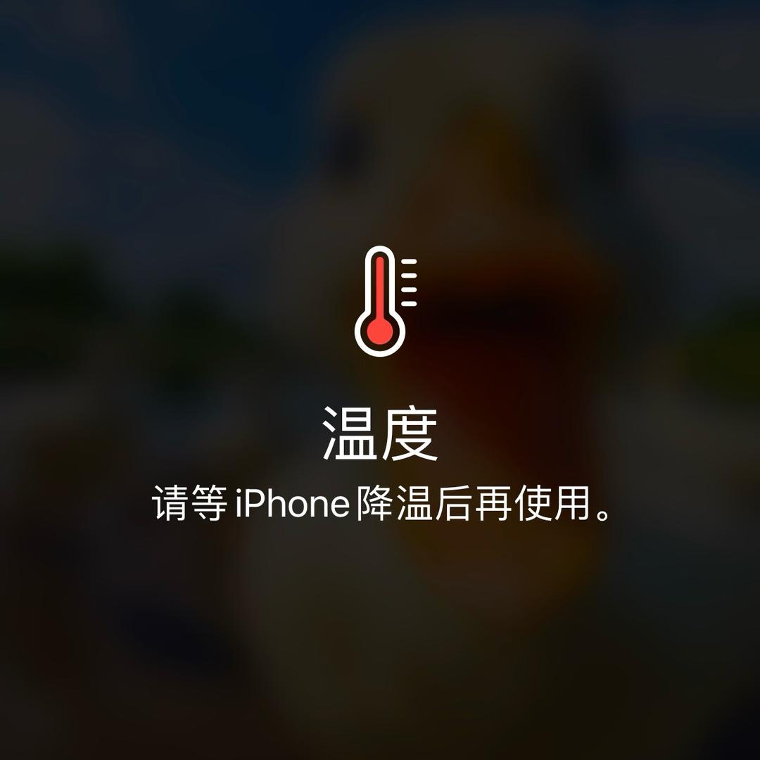 王哥哥