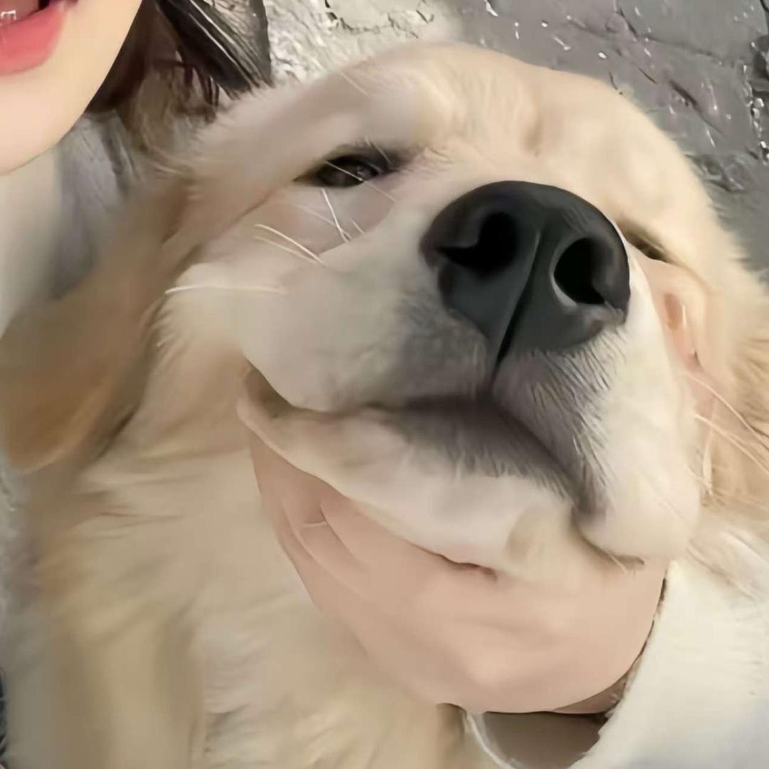 吴老板