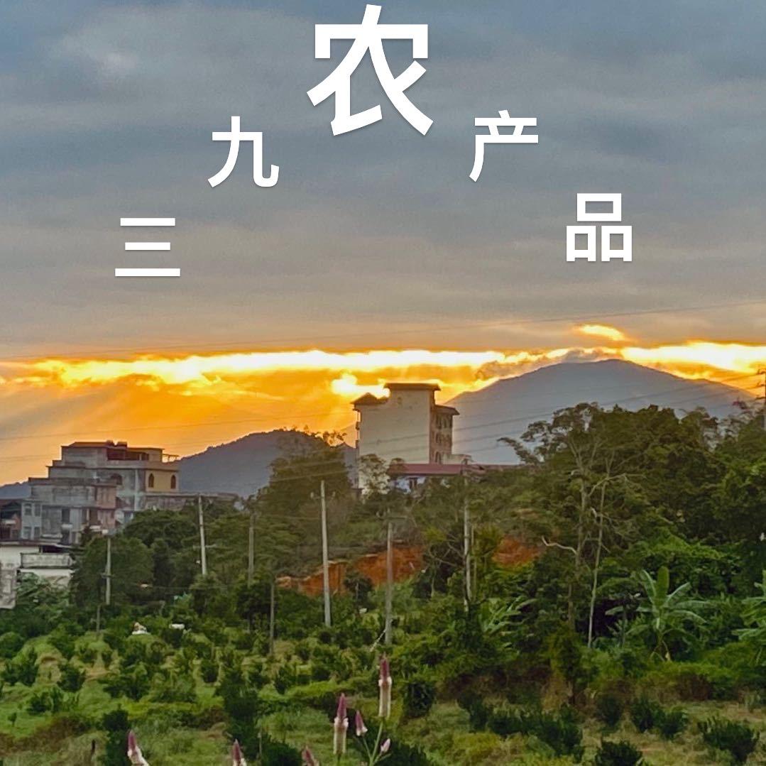 三九农产品