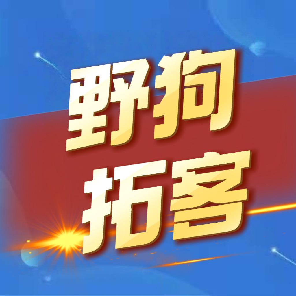 野狗拓客！（拿不到结果可退）