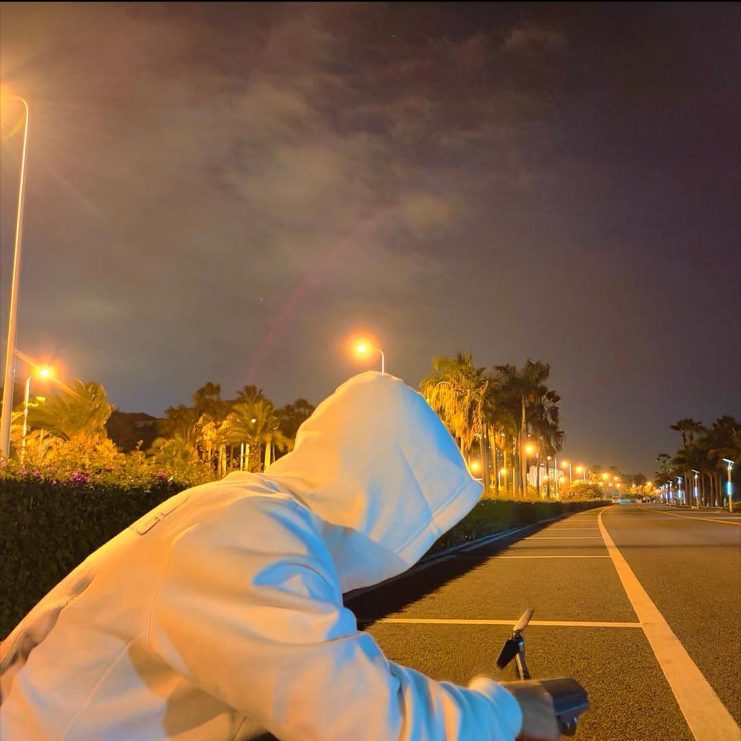 绿龟毛