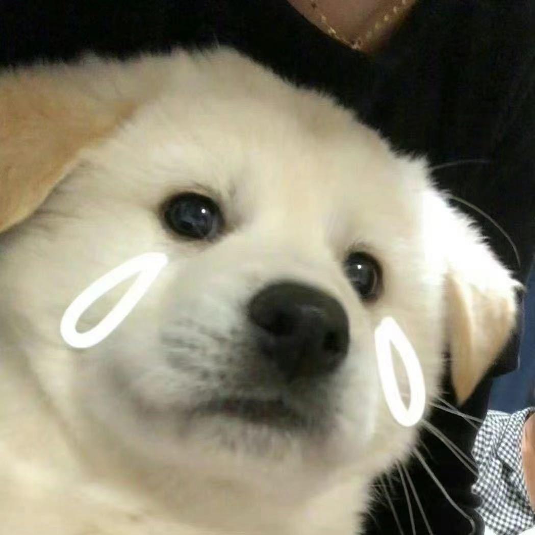齐乐天