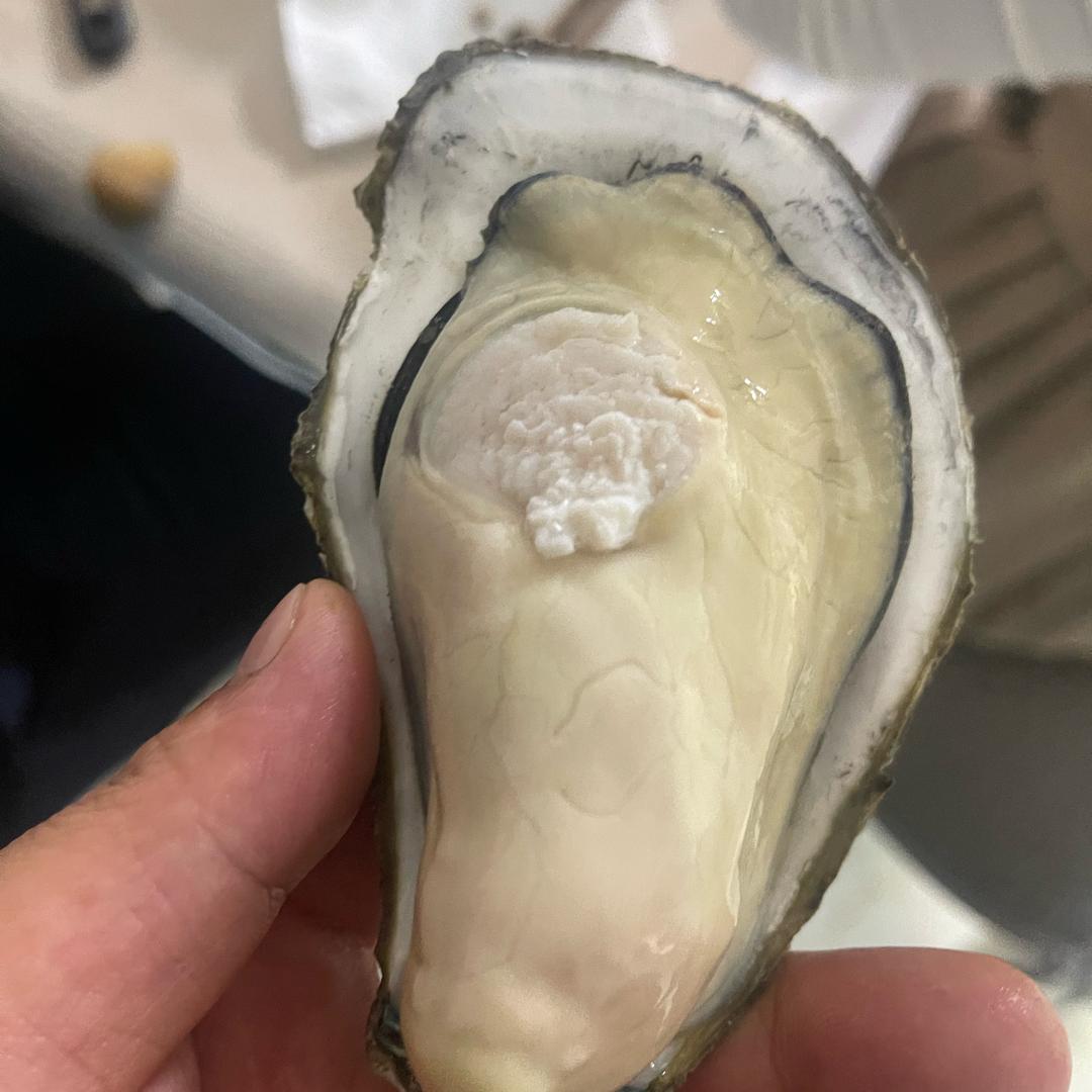 🦞卖海鲜的小卢🐟