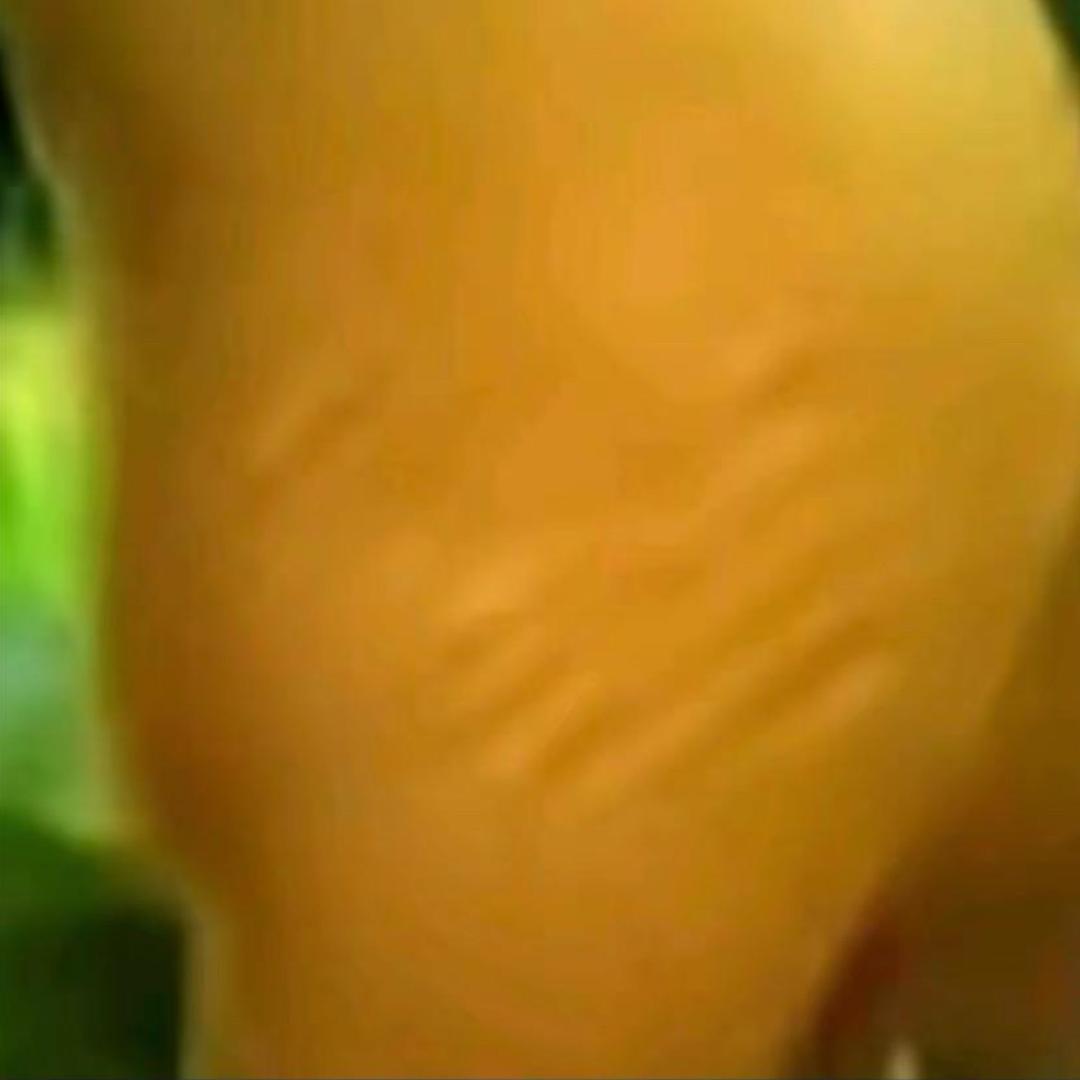 你要一块钱还是神秘礼物