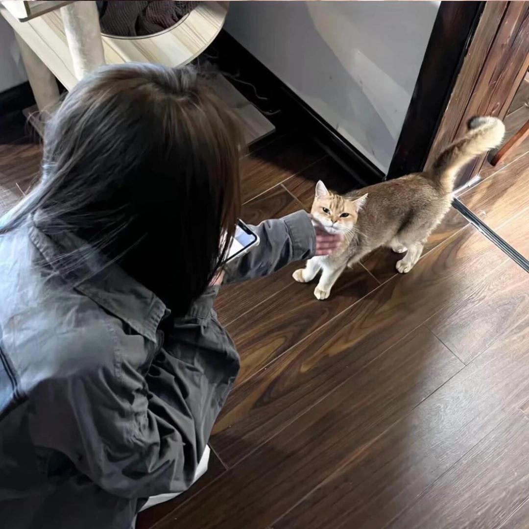 无信仰