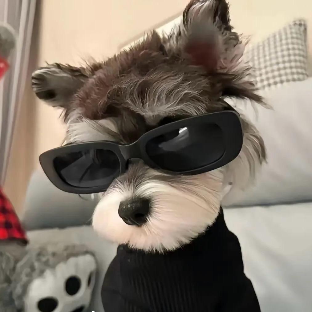 不二选择复活版