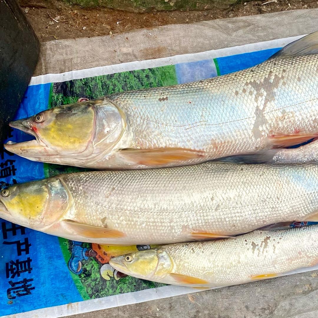 风