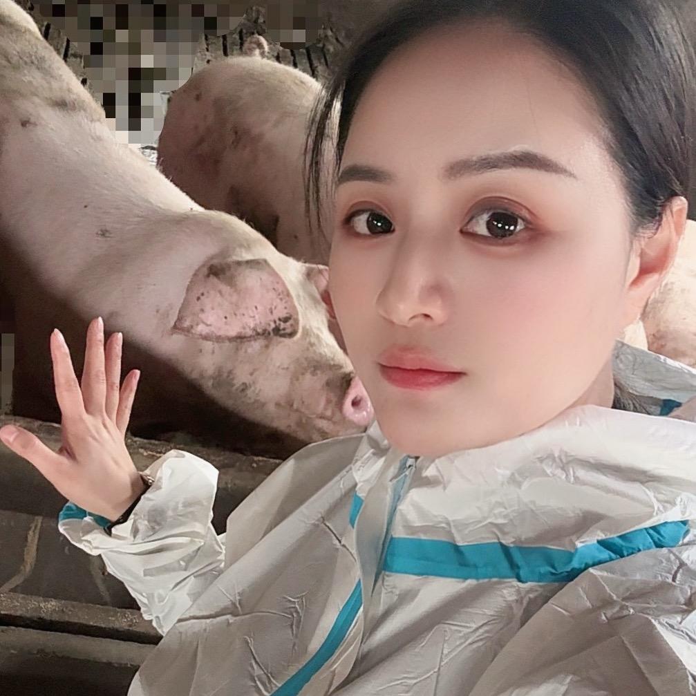 晴晴养猪（加油）