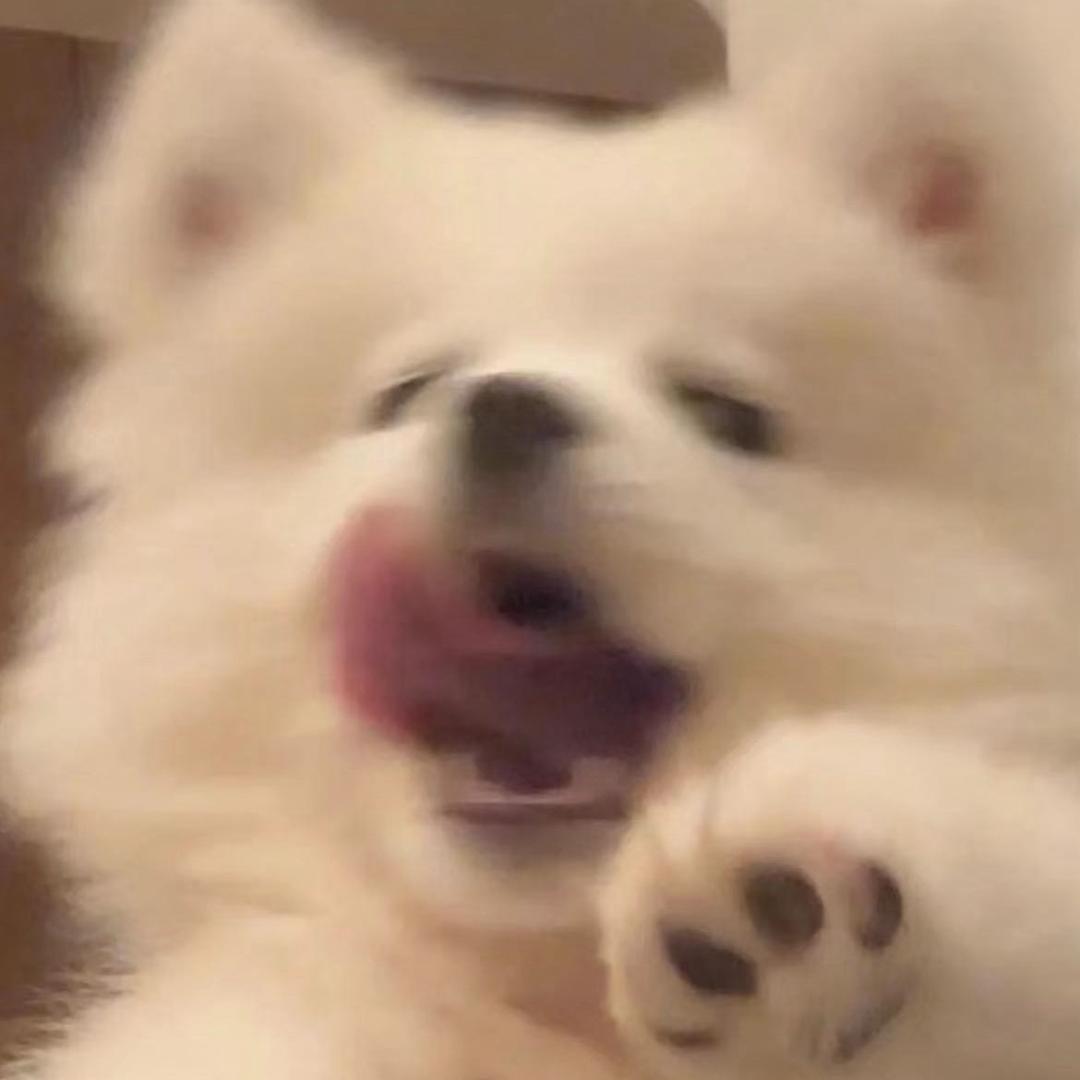 爱喝阿萨姆