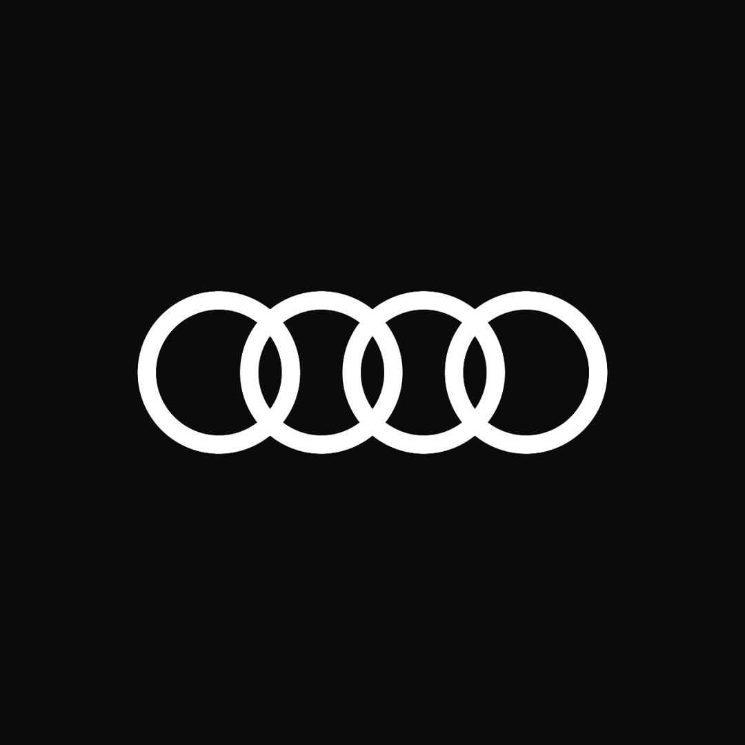 一汽奥迪新能源_汕头宏祥