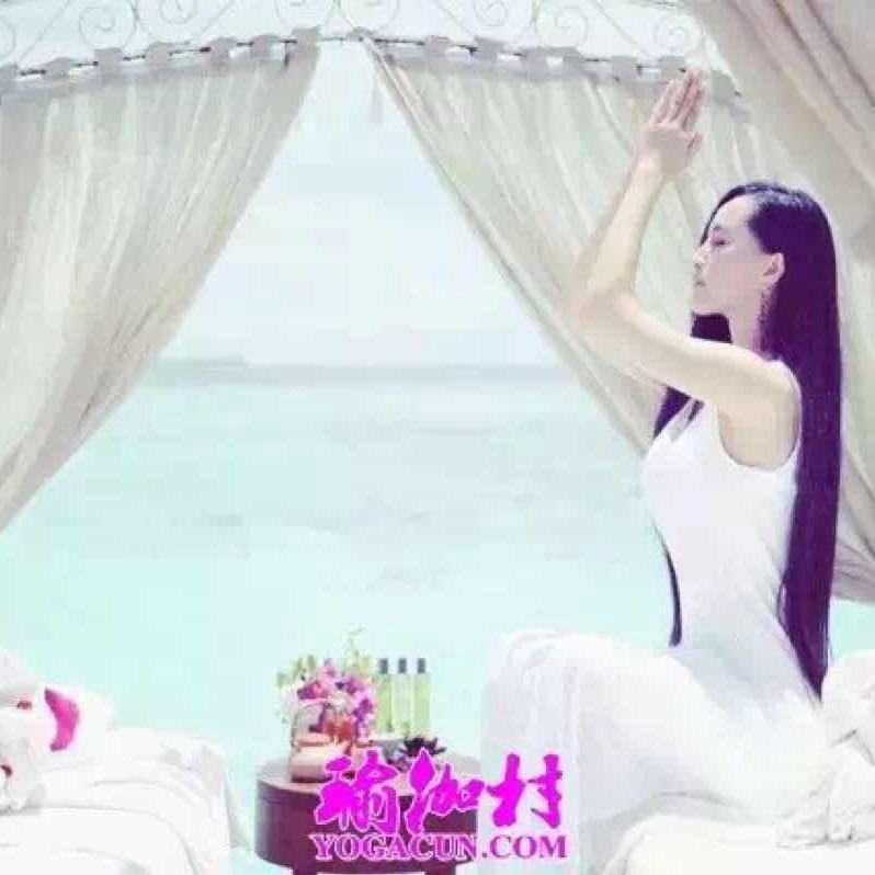 小珍瑜伽