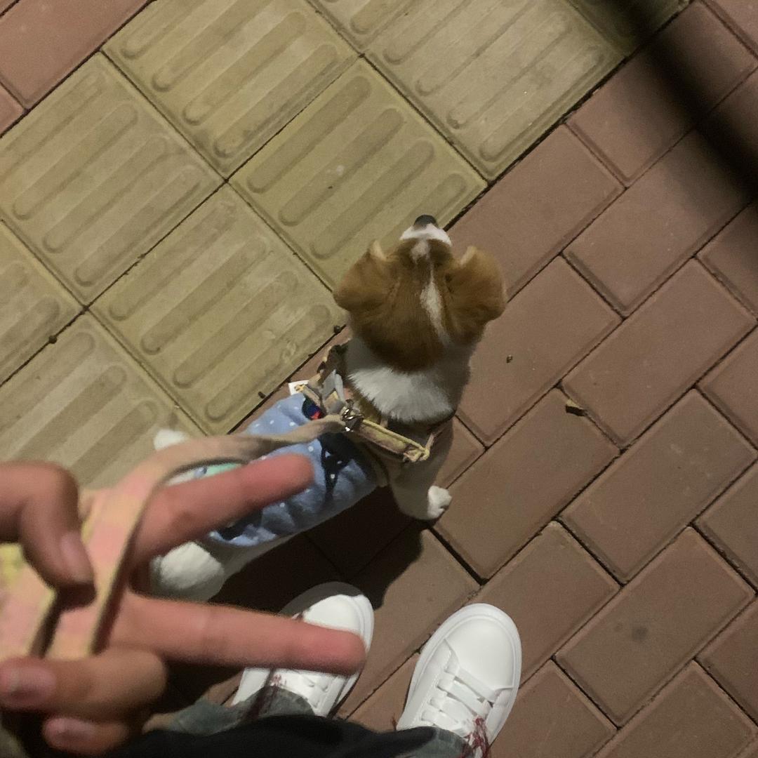 7_小呦^