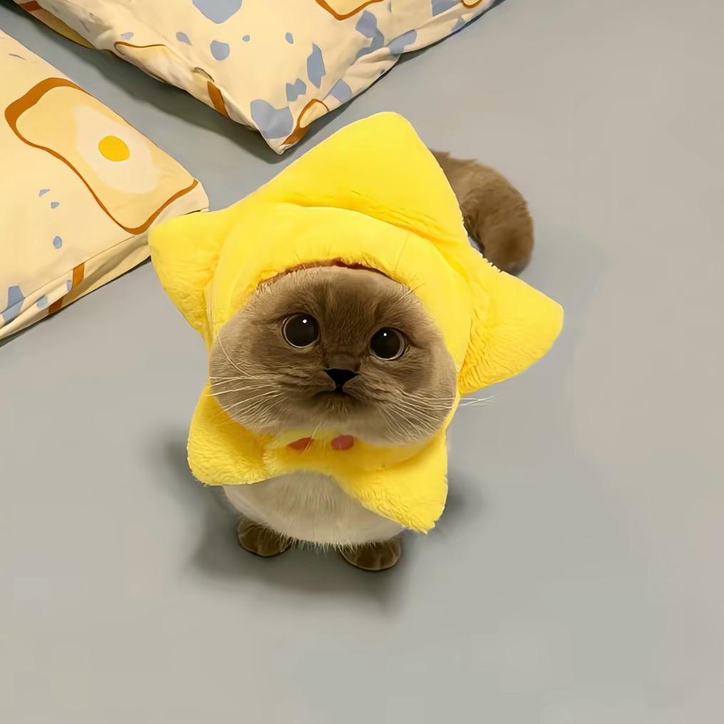 甜甜同学