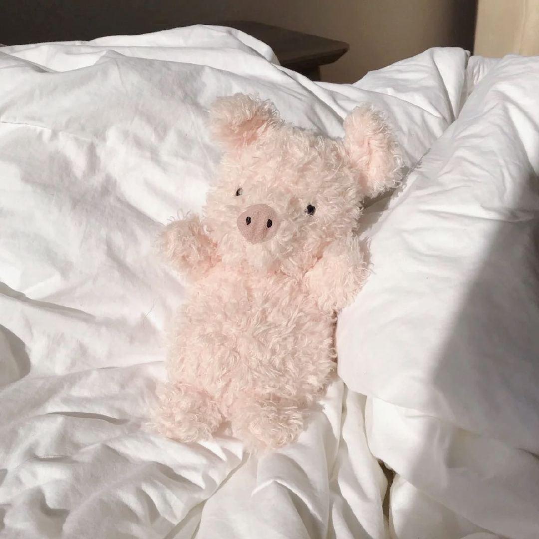 Joy 🐷